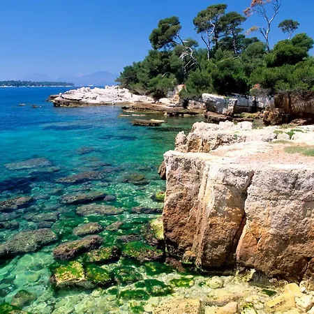 3 Pieces, Refait A Neuf, Standing, Piscine, A Pieds Антиб